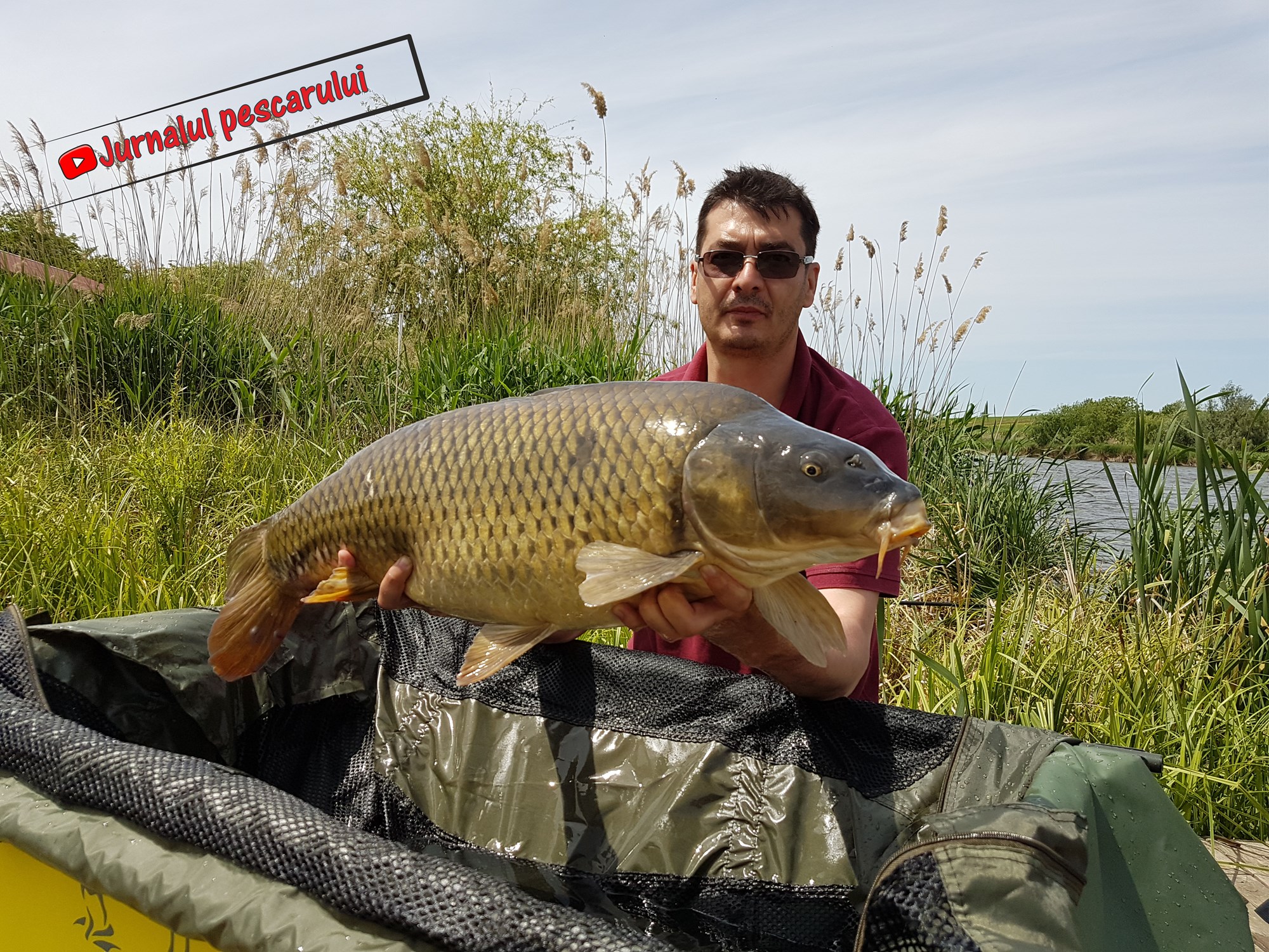 Balata LAZAR Alexandria  15 - 17 mai 2020 - 4.jpg